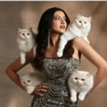 Kashika Kapoor — A Symphony Of Gown, Glamour & Gentle Grace.