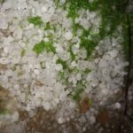 Storm And Hailstorm Wreak Havoc In Dharmanagar, Causing Widespread Damage.