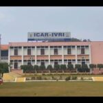 ICAR Institutions Break New Ground In Global Rankings, Marking Milestone For India’s Agricultural Higher Education.