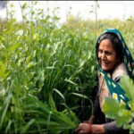 Empowering Women Farmers In Agriculture.