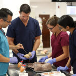 How St. George’s University Is Helping Indian Students Address Global Doctor Shortage.