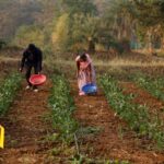 Tata Motors Foundation’s Integrated Village Development Programme Reaches Nearly 200 Villages Nationwide.