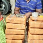 Panic At Drug Smuggling Bid Foiled : Panisagar Police Seize 19 Kg Cannabis, One Arrested.