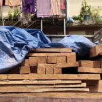 Forest Department Seizes Bolero Carrying Illegal Teak Timber.