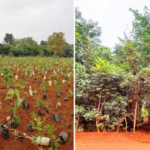 Fidelity Investments Promotes Sustainable Action Through Fidelity Cares In India.