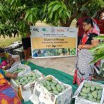 Odisha SHG Sends 7.5 Quintals Of Amrapali Mangoes To London, Showcasing Odisha’s Global Agri Reach.