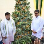 Queen Pineapple Is Taking Tripura To The Global Stage : Chief Minister Of Tripura Dr. Manik Saha.