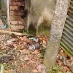 Unhygienic Conditions Near BBI School Swimming Pool : Dharitri Urges Municipal Intervention.