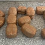 DRI Seizes Around 105 Kg Ganja In Bihar In Its Anti-Narcotic Drive; Two Arrested.