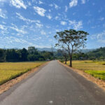 Ministry Of Rural Development Approves Road Works Worth Rs. 211.71 Crore For Tripura Under PMGSY-IV.