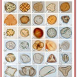  4,000 Yrs Of Climate History From World’s Largest Inhabited River Island Offer Adaption Insights.