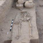 Human Skeletal Remains From Rakhigarhi Transferred To Anthropological Survey Of India For Advanced Scientific Research.