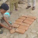 Seizes 12.465 KG of Cannabis Worth ₹2 Lakh With 1 Drug Peddlers By Tripura Railway Police In Agartala Railway Station.