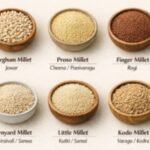 Millets And Human Health: A Focus On Diabetes Control, Weight Management, And Gut Microbial Modulation.