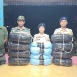 Sonamura PS, 81st BN BSF Jointly Seize 27 KG Of Dry Cannabis, Worth ₹2 Lakh.
