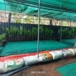 From Coconut Husk To Enterprise: How Coir Is Transforming Rural Lives.