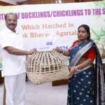 Governor Of Tripura Indrasena Reddy Nallu Distributes Ducklings & Chicks Among SHGs.