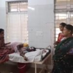 Elderly Woman Injured In Sudden Poisonous Insects While Working In Agricultural Field.