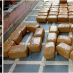 DRI Seizes Around 740 Kg Cannabis And Charas In Operations Across Country As It Intensifies Crackdown On Illegal Cannabis Trafficking; 13 Persons Arrested.