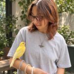 The Canary: From Habitat to Husbandry  Understanding Behaviour, Care & Welfare.
