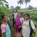 TRESP Jampuijala Drives Agricultural Progress Through Scientific Cucumber Cultivation.