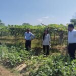 TRESP Livelihood Success Draws Appreciation From Sepahijala DM During Field Visit To Jampuijala.