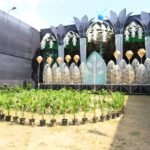 Durga Puja 2026 :  Nabadiganta Club’s  Goddess Durga Idol And Puja Pandal.