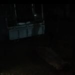 38-Year-Old Man Found Hanging In North Chebri, Khowai,  Grief Sweeps Through The Area.
