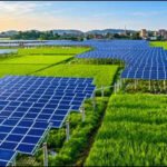 Agri-Voltaics.